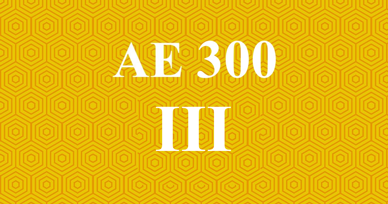 Proyecto ae300III